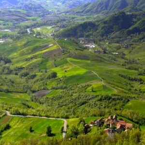 Piemonte, ok al Piano triennale lavori forestali: nuove assunzioni per la prevenzione