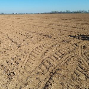Piemonte, siccità e agricoltura: Coldiretti chiede lo stato di calamità naturale