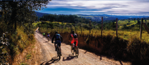 Bici e vino, anche nel 2021 il turismo sarà di esperienze (in sicurezza)