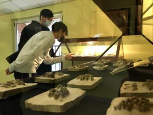 Al For.Al di Valenza si è conclusa la mostra dei calchi storici in gesso