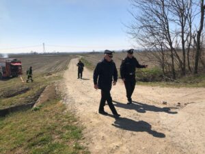 Canneto in fiamme tra Villanova e Motta, sul posto i Vigili del fuoco