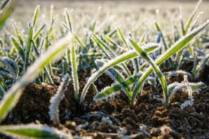 Coldiretti: è allarme per le produzioni