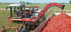 Pomodoro