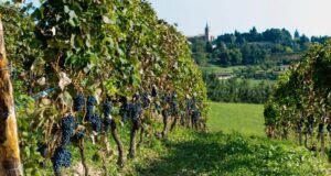 Piemonte, i numeri del turismo danno fiducia
