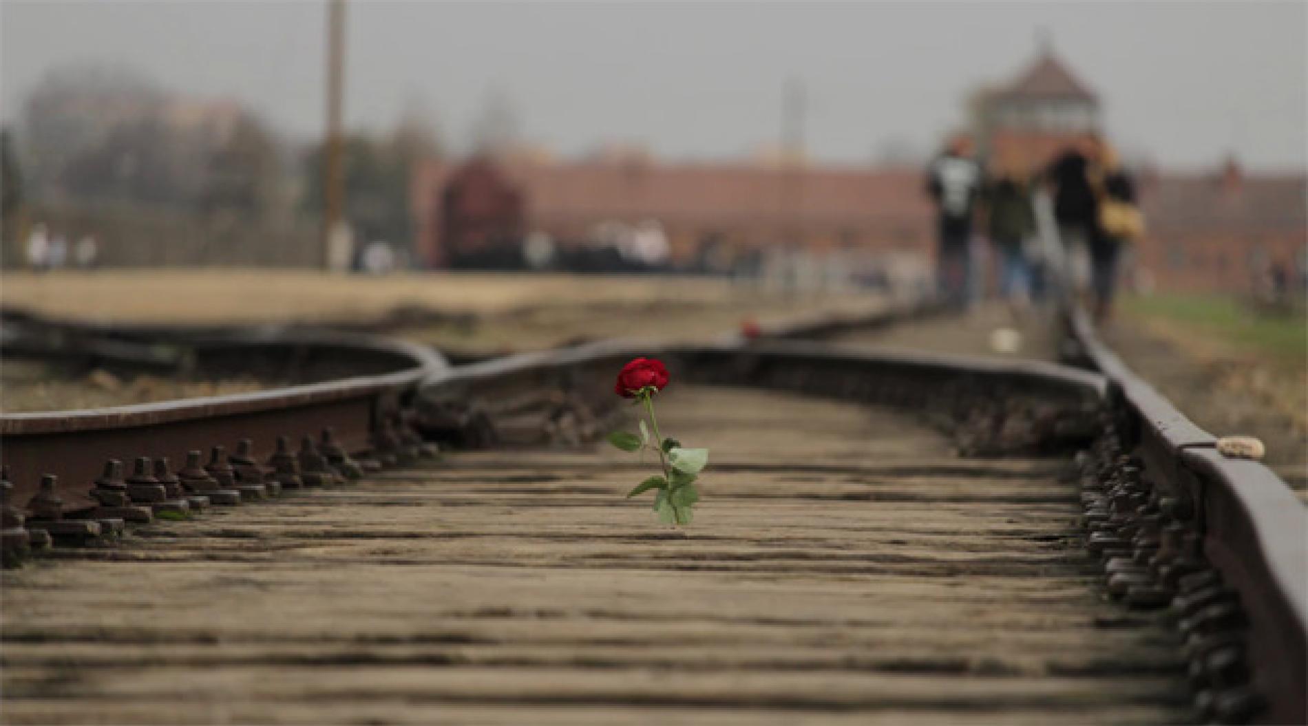 Giornata della Memoria: le iniziative in provincia