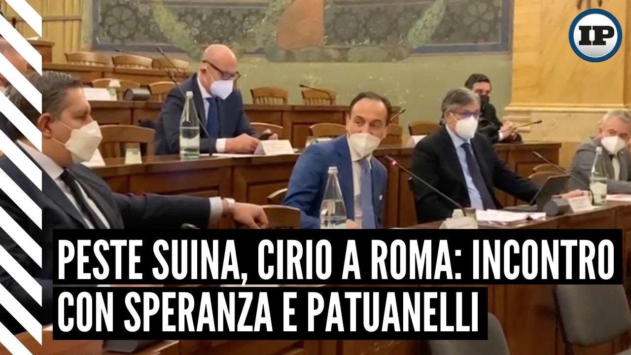 Peste suina africana: “Subito i fondi e nuovi abbattimenti di cinghiali”