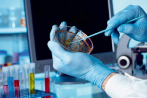 Blackout informatico Asl, mercoledì 7 stop a prelievi e analisi nei laboratori dell’Alessandrino