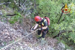 Valenza: le ricerche di un anziano scomparso