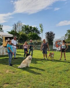 Valenza, domenica il Dog Day
