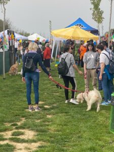Valenza: ottimi riscontri di partecipazione dal Dog Day