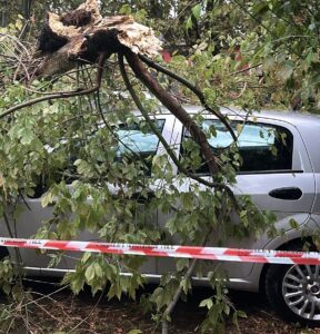 Maltempo nell’Alessandrino: disagi e blackout in diverse zone