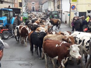 Rivarone: domenica la transumanza tra tradizione e natura
