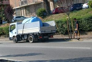 Valenza, gli alberi innaffiati dopo la polemica
